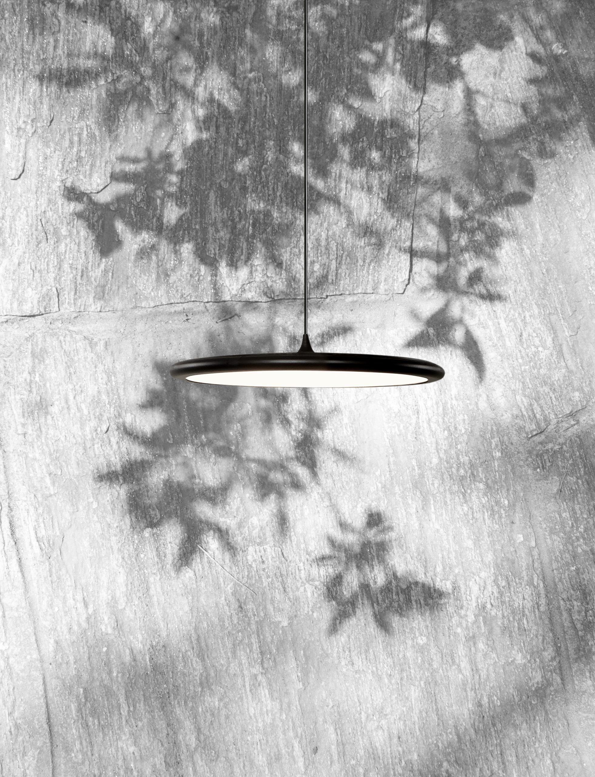 512.21 C74 Bilancella