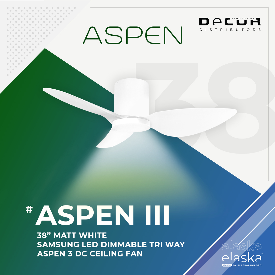 aspen-38-WHWH